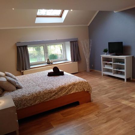 Petites-Tailles - Chambre D'Hotes Vielsalm Zewnętrze zdjęcie