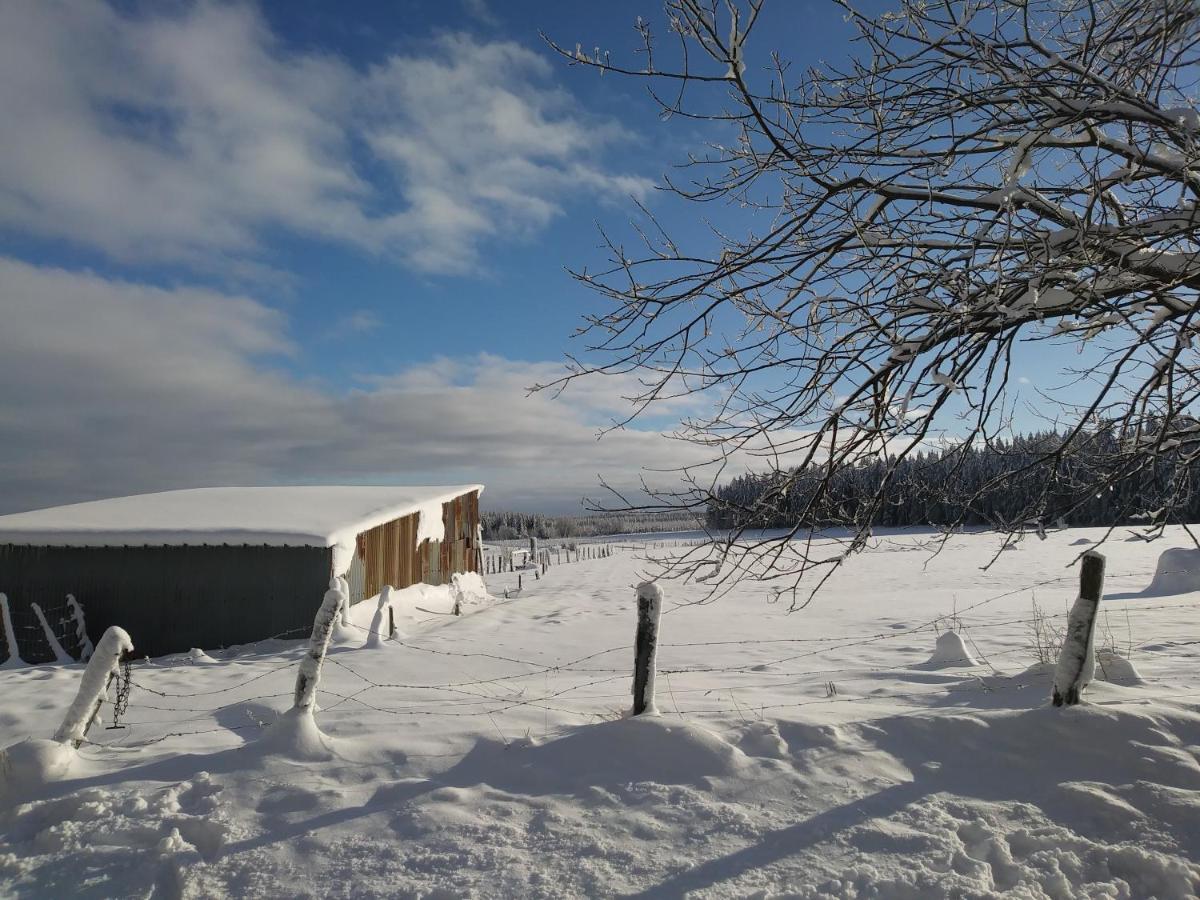 Petites-Tailles - Chambre D'Hotes Vielsalm Zewnętrze zdjęcie