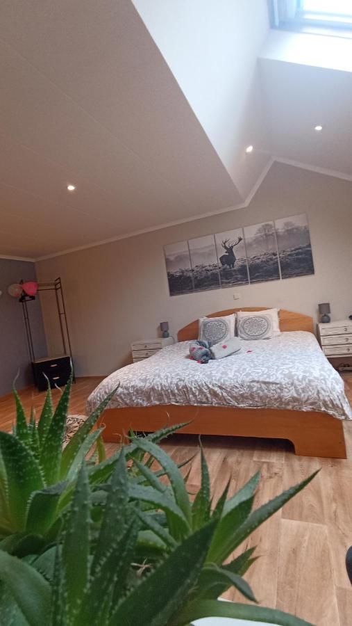 Petites-Tailles - Chambre D'Hotes Vielsalm Zewnętrze zdjęcie